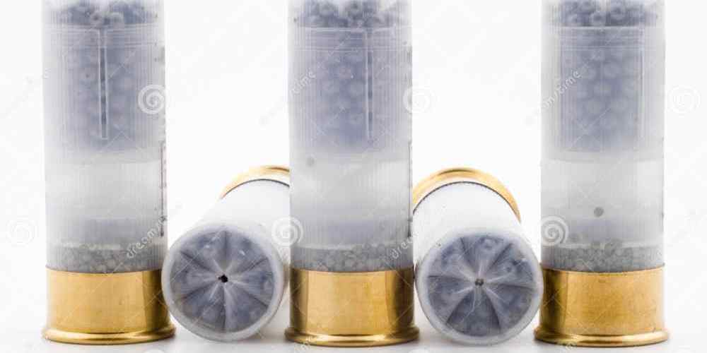 Shotgun Ammunition